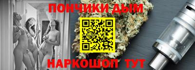 индика Обь