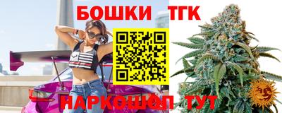 индика Обь