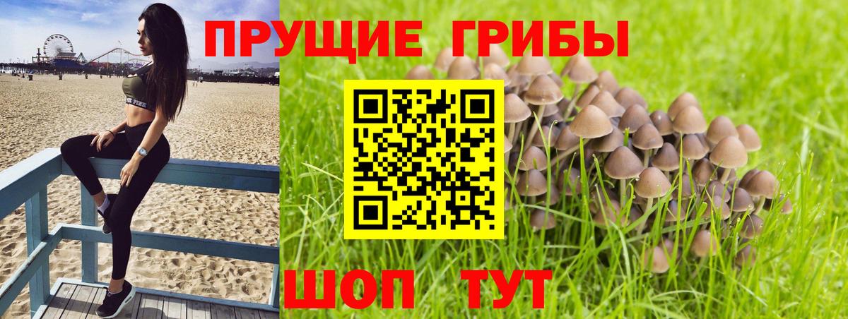Рузаевка  Псилоцибиновые грибы Magic Shrooms  Вход с VPN 